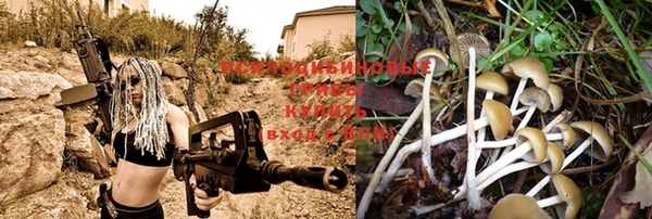 прущая мука Баксан