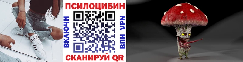 Галлюциногенные грибы Psilocybine cubensis  купить  цена  KRAKEN ССЫЛКА  Верея 